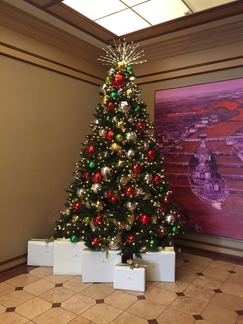 Patton's Christmas Trees Dallas