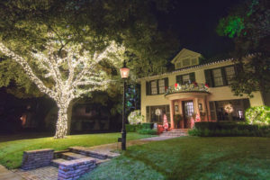 Patton's Christmas Trees - Lighting Service Dallas